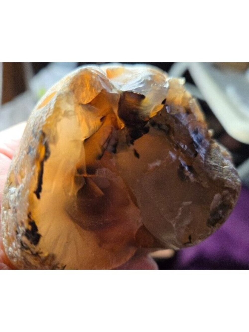 Montana Agate 1 pound 5 ounces